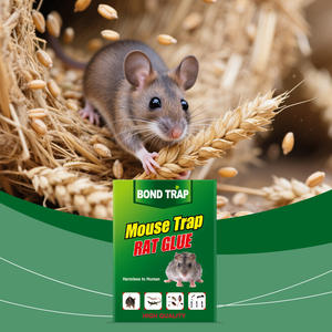 Cezbedici fare tuzağı güçlü yapışkanlık yapıştırıcı sıçan Catcher haşere fareler için tutkal tuzağı karton yapışkan fare kurulu kontrol - Product Image 3