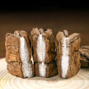 Chinese Geneeskunde Gedroogde Eucommia Ulmoides Groothandel Fabriek Hoge Kwaliteit Populaire Chinese Kruidenboom Schors Eucommia Ulmoide Oliver - Product Image 6