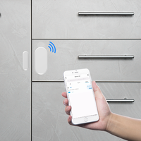 Minew S4 capteur de porte à distance suivi en temps réel sans fil Ble 5.0 capteur de balise alarme magnétique intelligent IoT capteur de fenêtre de porte