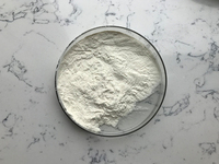 Poudre de collagène bovin, échantillon disponible