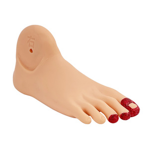 Modelo de cuidado del pie para diabéticos; modelo de lesiones del pie en pacientes diabéticos; cambios patológicos del pie; modelo de pie. - Product Image 1