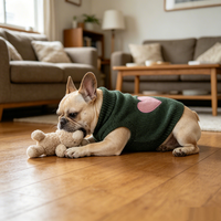 Pull pour chien en acrylique avec broderie en forme de cœur, col roulé, chaud, pour l'hiver, pour petits chiens, vert rose