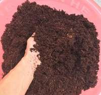 Brique de tourbe de coco pour l'élevage des animaux, reptiles, bloc de cocopeat 100% naturel