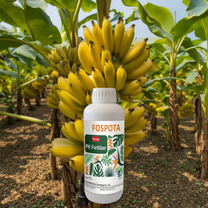 سماد موز عضوي سائل ، حمض الهيوميك ، محصول البوتاسيوم ، يزيد من إنتاجية تخزين الفاكهة ، مسحوق - Product Image 4