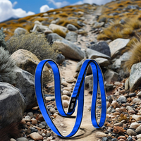 Fournisseur chinois en gros de sangles d'escalade en polyester bleu de 16 mm pour l'escalade sur roche, les excursions en plein air, les outils d'escalade
