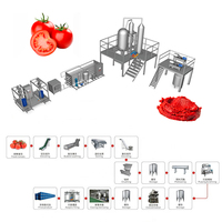 Industriële Tomatenpuree Making Machine Productielijn Tomatensaus Ketchup Verwerkingsbedrijf 2 In 1