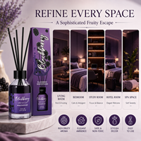 Lot de diffuseurs à bâtonnets de 100 ml avec bâtonnets en rotin, huile parfumée personnalisée pour la décoration intérieure et les programmes de vente au détail pour les acheteurs