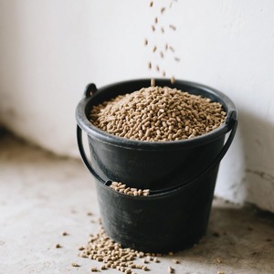 Pelletizer thức ăn chăn nuôi thiết bị máy chế biến để làm gà vịt thỏ lợn cừu thức ăn gia súc - Product Image 4