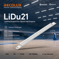 Luminaire linéaire LED à boîtier en acier blanc avec options de câblage pour l'éclairage des gymnases