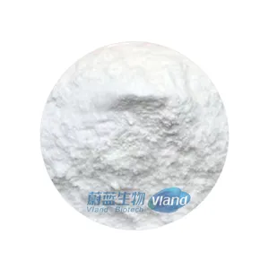 High Quality Food Grade 99% Lsoleucine Instant/Powder/Granular L-Lsoleucine