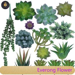 미니 인공 장식 홈 다육 식물 세트 분재 벌크 wiEV 라운드 냄비 - Product Image 5