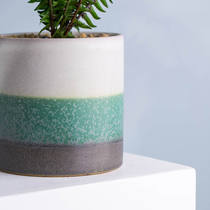 Deco piante grasse bianco verde grigio tre della banda di colore del modello di porcellana pianta alti piccoli vasi - Product Image 3