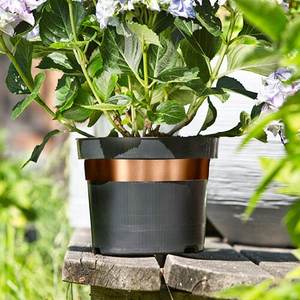 Ruban adhésif double face Limace Ruban de cuivre hautement conducteur anti-limace et <span class=keywords><strong>escargots</strong></span> - Product Image 5