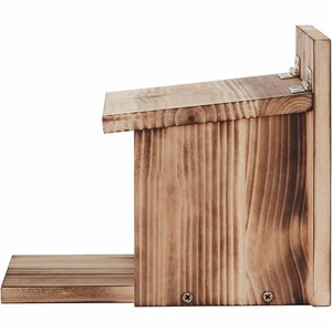 Comedero de Madera para Ardillas, Comedero para Pájaros de Jardín, Madera Natural Beige, Ecológico, Adorno Artesanal para Escritorio - Product Image 3