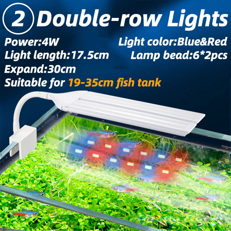 4W-Lumières bleues et rouges de Double-rangée