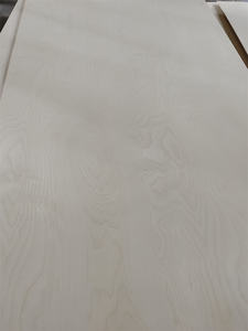 Paneles <span class=keywords><strong>de</strong></span> <span class=keywords><strong>Madera</strong></span> Laminada <span class=keywords><strong>para</strong></span> Construcción y Cercas - Tablero <span class=keywords><strong>de</strong></span> Contrachapado <span class=keywords><strong>de</strong></span> Abedul Marino Impermeable <span class=keywords><strong>de</strong></span> 18 mm, Lamas <span class=keywords><strong>de</strong></span> <span class=keywords><strong>Madera</strong></span> Laminadas <span class=keywords><strong>de</strong></span> 4x8 - Product Image 5