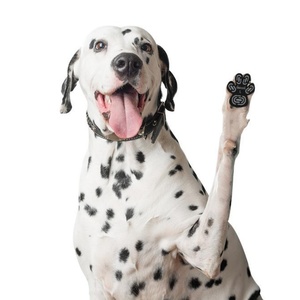 Nouveau tapis antidérapant pour pattes de chien pour chiens âgés, offre une traction aux pattes, protège les pattes blessées, tapis antidérapant pour animaux de compagnie - Product Image 1