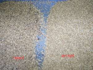 2000 Kg/h Pérou Quinoa Trieuse Optique Couleur CCD Trieuse Machine Trieuse pour Grains Andins - Product Image 4