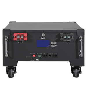 Sistema de Batería de Litio LiFePO4 de Energía Solar de 51.2V 100Ah para Almacenamiento de Energía Doméstica 5Kwh 10Kwh 15Kwh 20Kwh Batería para Servidor en Rack - Product Image 2