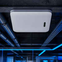 Picocell Integrato 4G LTE TDD ENB 2x125mW Banda 40 2300-2400MHz con PoE+ per Copertura Ufficio