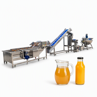Klein-schaal fruitsap productielijn volautomatische sapverwerkingsmachine sinaasappel citroen bottel- en vullijn