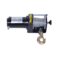Treuil électrique extérieur de mini voiture 12V manuelle à télécommande industrielle de haute qualité