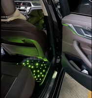 Tapis de sol de voiture universel pour allume-cigare 12V LED avec tapis de pied automatique antidérapant en fibre optique Starlight personnalisé