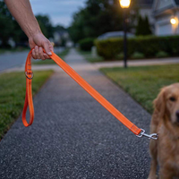 NOVIPET Laisse pour chien en nylon réfléchissant, crochet en alliage de zinc robuste, coutures réfléchissantes double face, laisse de sécurité nocturne pour animaux de compagnie