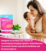 Tisane de Fertilité Chinaherbs en Gros (OEM) pour Femmes – Soutien Naturel du Cycle Féminin et Équilibre Interne – Mélange pour le Bien-être Utérin