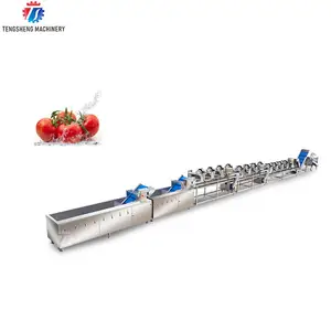 Mango slicing machine dehydrated onion production line auto equipment french fries vegetable cutting machine production line