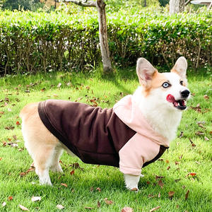 Vêtements pour chiens <span class=keywords><strong>Corgi</strong></span>-Sweat-shirt léger pour les races petites à moyennes, parfait pour le printemps et l'automne - Product Image 4