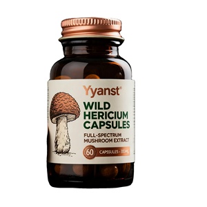 Suplemento Herbal de Memoria OEM/ODM, Cápsula Natural Orgánica Alfa 0.5g/cápsula, 60 Cápsulas/botella, Mejora la Inmunidad, Salud del Adulto - Product Image 3