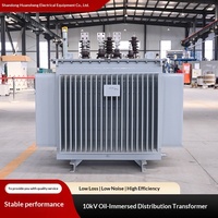 Transformateur de distribution immergé dans l'huile, à noyau en cuivre, haute tension, triphasé, bobinage haute tension, à changement de tension en charge, modèle S20