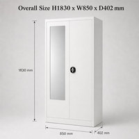 Armoires en acier avec miroir, armoire métallique à 2 portes, armoire moderne blanche pour chambre à coucher, meuble de rangement pour vêtements, Almirah