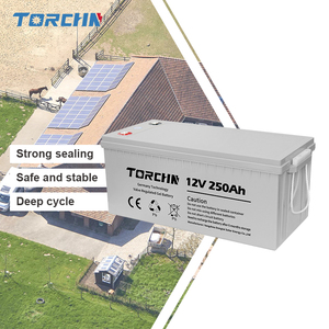 250AhソーラーストレージバッテリーGEL <span class=keywords><strong>12V</strong></span> Thinmax <span class=keywords><strong>1</strong></span>年保証 - Product Image 1