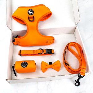 Arnés y Correa para Perro de Color Sólido con Dispensador de Bolsas para Excrementos a Juego, Ajustable para Perros Pequeños y Medianos - Product Image 1