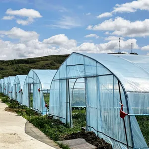 Сельское хозяйство, небольшая тепличная Однопролетная туннельная теплица с системой орошения гидропоники