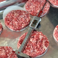 Hamburger Patty Moulage Machine Poulet Pépite Viande Tarte Machine Boeuf Patty Burger Moulage Machine
