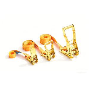Cravate <span class=keywords><strong>à</strong></span> cliquet détachable Arrimage de la cargaison Conception anti-rayures <span class=keywords><strong>Sangle</strong></span> en acier polyester 2000kg Résistance <span class=keywords><strong>à</strong></span> la rupture pour fil de laboratoire - Product Image 4