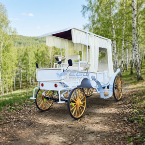 Nouvelle Conception Simple et Élégante, Voiture Électrique de Type Carrosse, Populaire, 4 Roues, Blanche, Royale, pour Visites Touristiques, Chariot à Chevaux Victoria, Véhicule à Vendre - Product Image 1