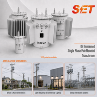 Transformateur de distribution immergé dans l'huile 250 kVA monophasé monté sur poteau, applications industrielles et utilitaires basse et haute tension