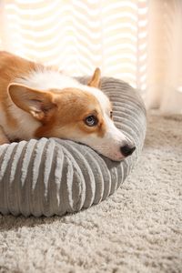 Lit rond pour animaux de compagnie OEM ODM lit pour <span class=keywords><strong>chien</strong></span> beignet confortable à rayure épaisse verticale d'usine tapis de chat lavable <span class=keywords><strong>coussin</strong></span> chaud pour animaux de compagnie - Product Image 3