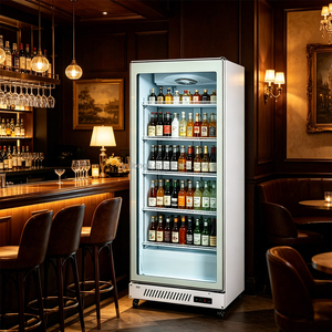 <span class=keywords><strong>Vitrine</strong></span> <span class=keywords><strong>réfrigérée</strong></span> verticale YULONGE à porte vitrée simple <span class=keywords><strong>pour</strong></span> supermarché, idéale <span class=keywords><strong>pour</strong></span> les aliments surgelés - Product Image 3