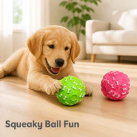 Jouet pour chien en silicone qui couine, balle à mâcher en forme d'os pour animaux de compagnie