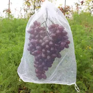 中国供应商Hdpe白色管状网袋葡萄果盖保护塑料袋