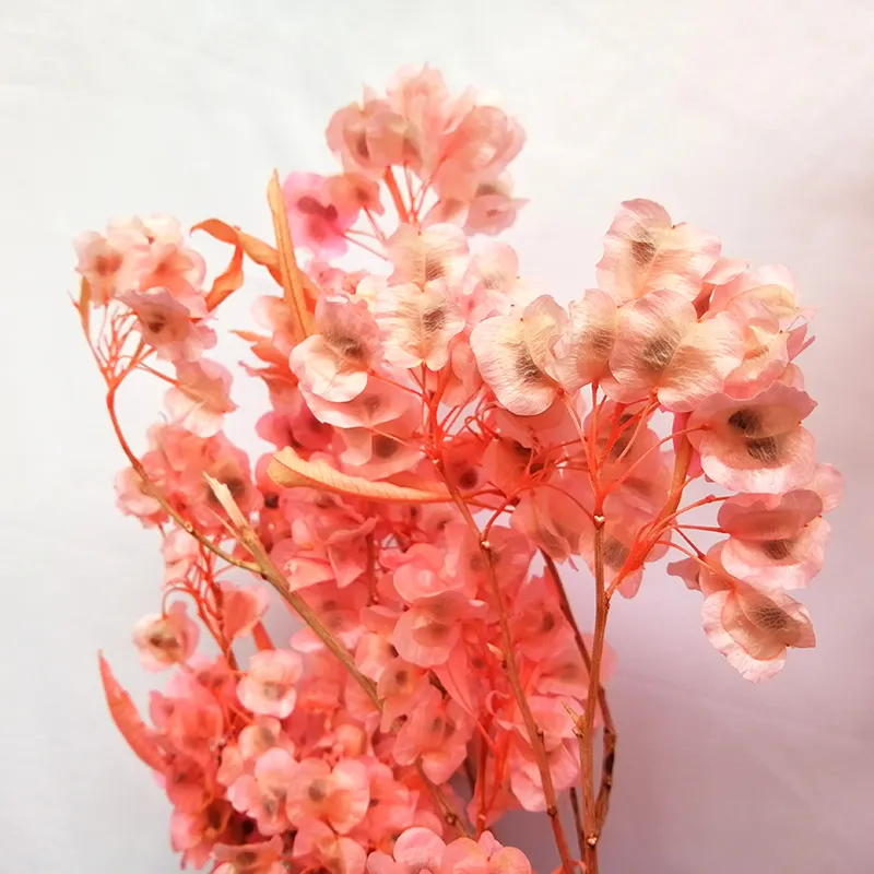 2021 Yunnan New product dried nature flowers red fringed iris for home decoration