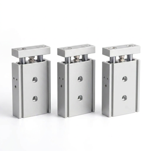 Cilindro de Doble Vástago Tipo Airtac TR25X30S |   Cilindro de Aire de Aleación de Aluminio de Doble Eje, 25 mm de Diámetro Interior y 30 mm de Carrera, para Tableros Solares Fotovoltaicos - Product Image 2