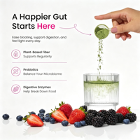 Super Greens Poudre Instantanée Probiotiques et Enzymes pour Adultes