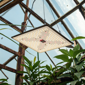 Cho Daisy chuỗi 100W 200W 60W 40W dẫn phát triển cho ánh sáng quang phổ đầy đủ cho hạt giống bắt đầu Rau nhà máy phát triển nhôm cho nở - Product Image 1