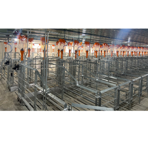 Caisse de mise bas pour porcs Haute qualité 2400X1800Mm Élevage de porcs Équipement d'élevage de porcs Couleur personnalisée Fabriqué au Vietnam Fabricant - Product Image 6